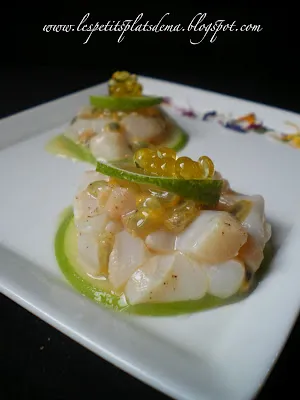 tartare st jacques passion billes-9blog