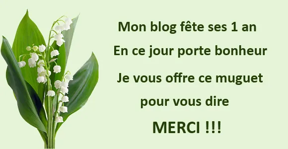 Une cuisine pour voozenoo fête ses 1 an
