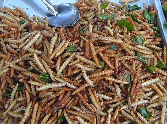 Vers de Bambou frits Vers de Bambou frits