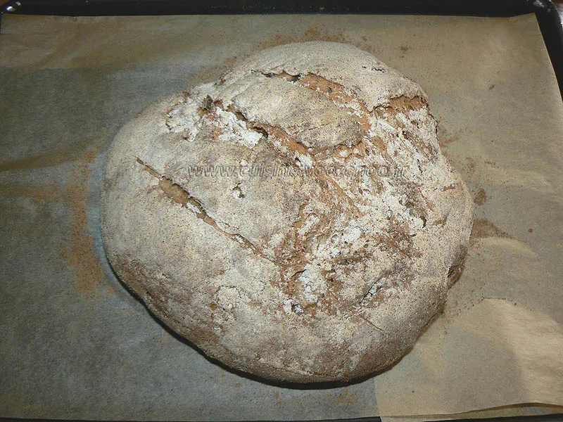 Pain de campagne fin