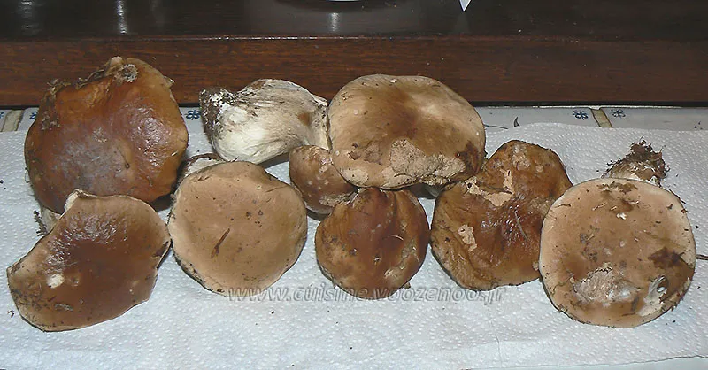 Petits flans aux cèpes etape1
