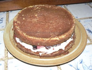 Gâteau au chocolat, finger et fruits rouges pour paques etape5