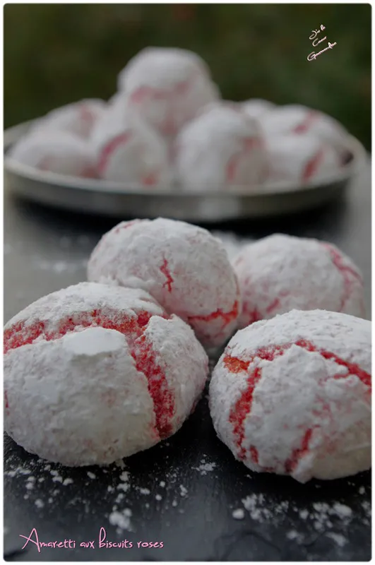 amaretti-aux-biscuits-roses2de sophienette