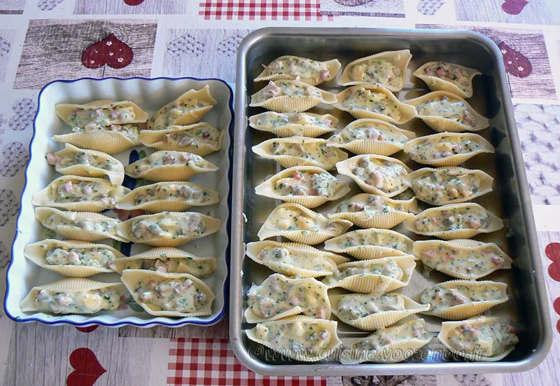 Conchiglioni campagnard fin