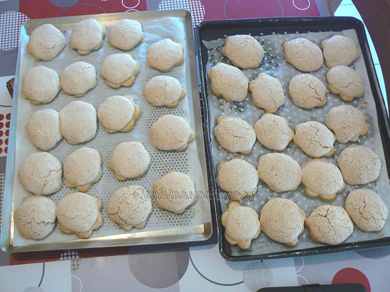 Biscuits Ingenting Danois fin