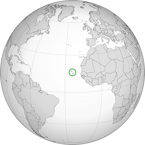 Globe Cap Vert